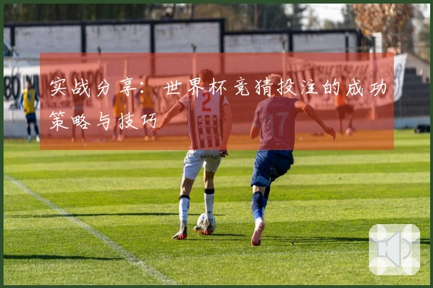实战分享：世界杯竞猜投注的成功策略与技巧