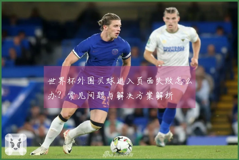 世界杯外围买球进入页面失败怎么办？常见问题与解决方案解析